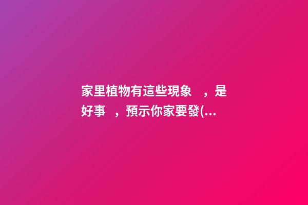 家里植物有這些現象，是好事，預示你家要發(fā)大財了！